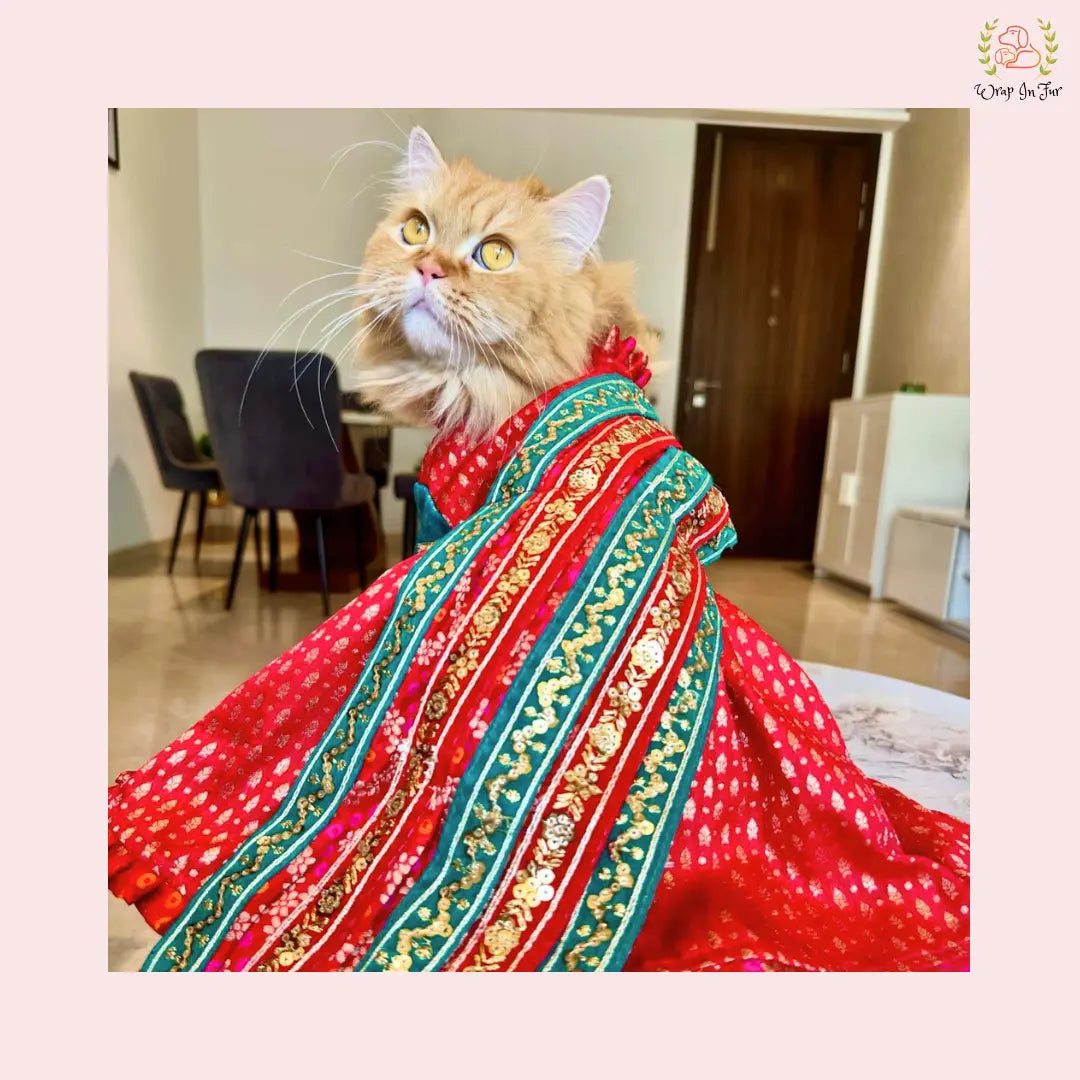 Traditional Dog Bridal Dress - Red Brocade Saree Style Gown