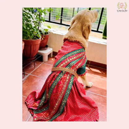 Traditional Dog Bridal Dress - Red Brocade Saree Style Gown