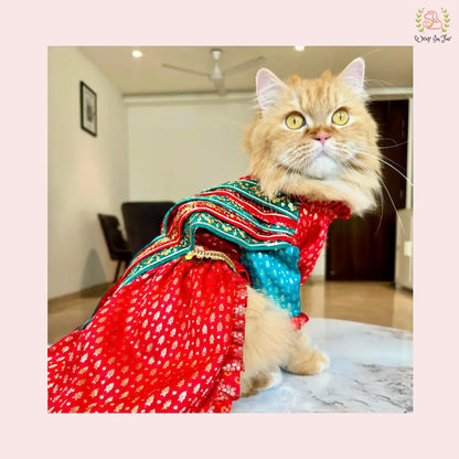 Traditional Dog Bridal Dress - Red Brocade Saree Style Gown