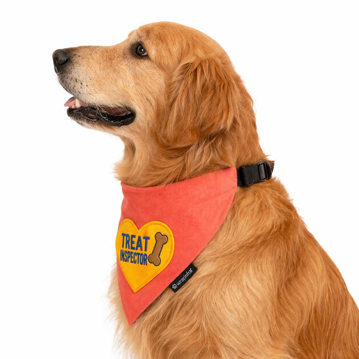  Dog Bandana