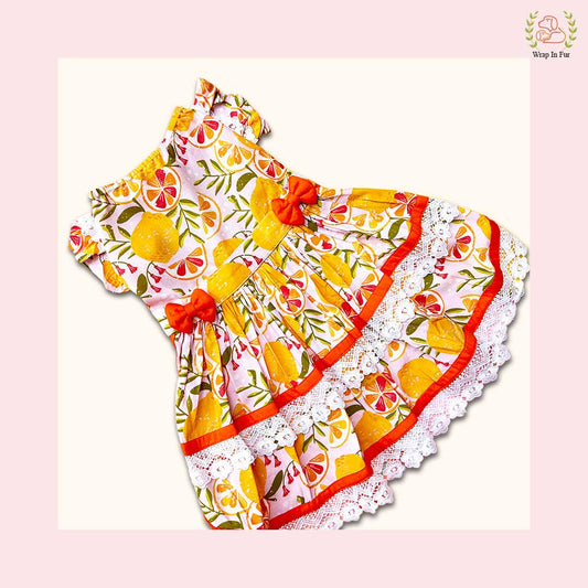 Tropical Citrus Print Dog Princess Dress - Lace Trim Summer Frock