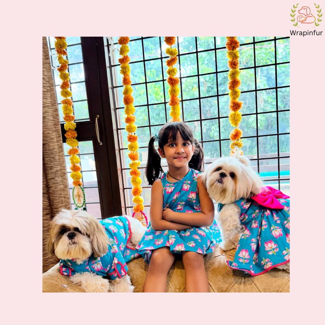 Turquoise Blue Lotus Dog Frock Dress - Traditional Dog Wedding Outfit