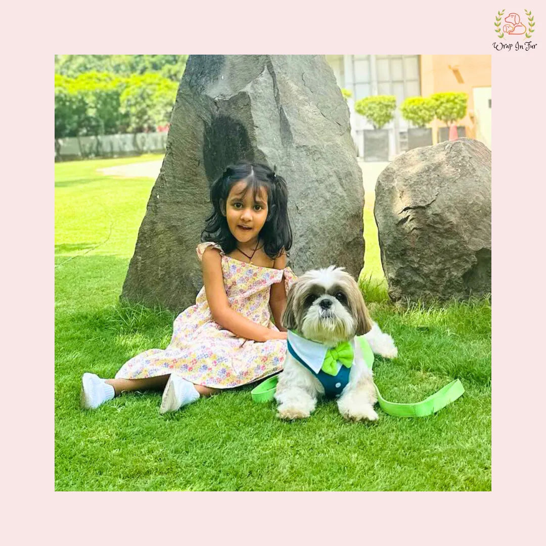 Turquoise Dog Tuxedo Harness - Stylish Wedding Formal Suit