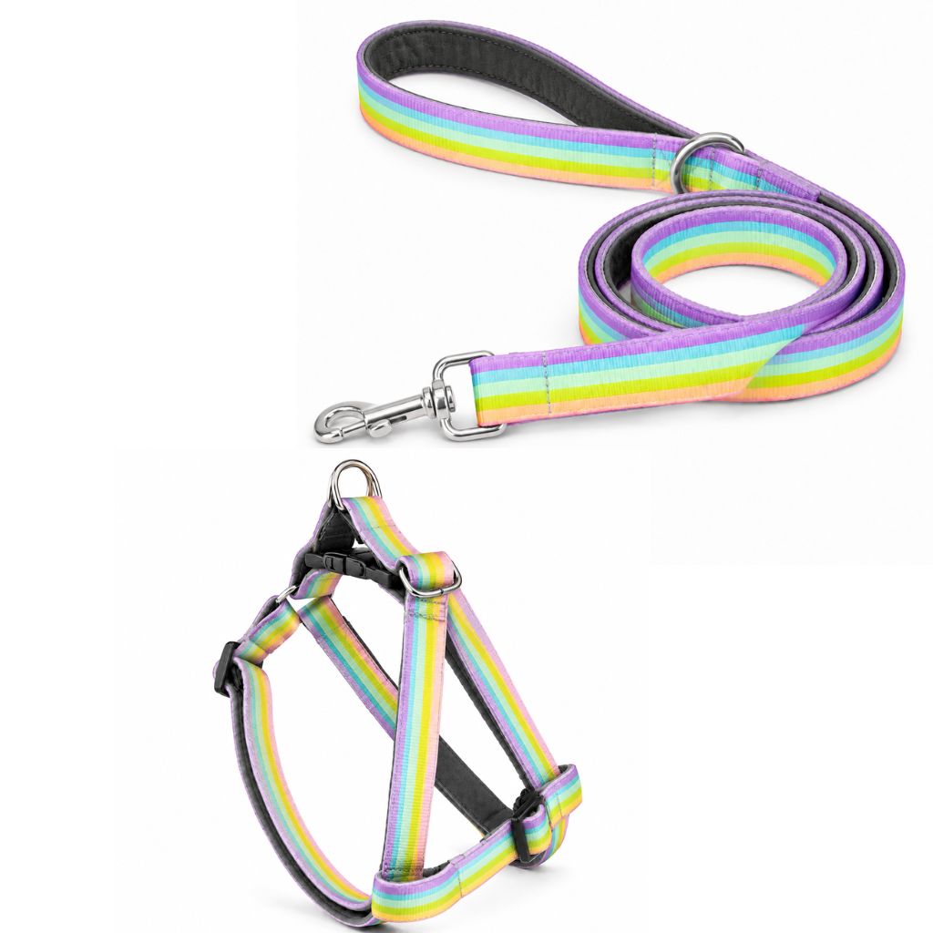 Unicorn Star Dog Harness With Leash