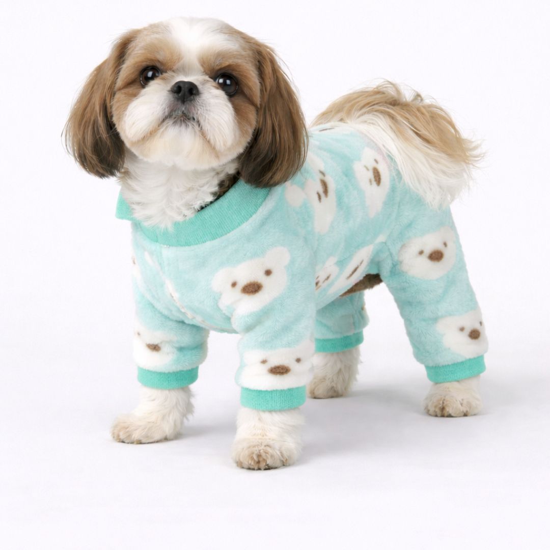 Teal Teddy Winter Jumpsuit – Warm Dog Winter Wear