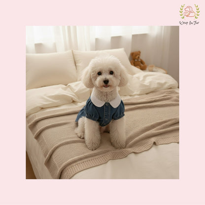 DenimChic Dog Dress – Soft, Stylish & Perfect for All Breeds