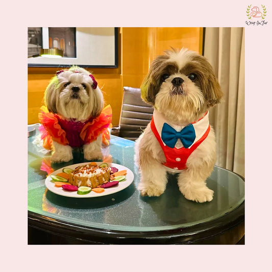 Vibrant Orange Dog Tuxedo Harness - Stylish Wedding Formal Suit