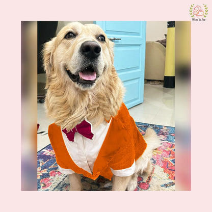 Vibrant Orange Sequin Dog Tuxedo Jacket - Glamorous Formal Suit