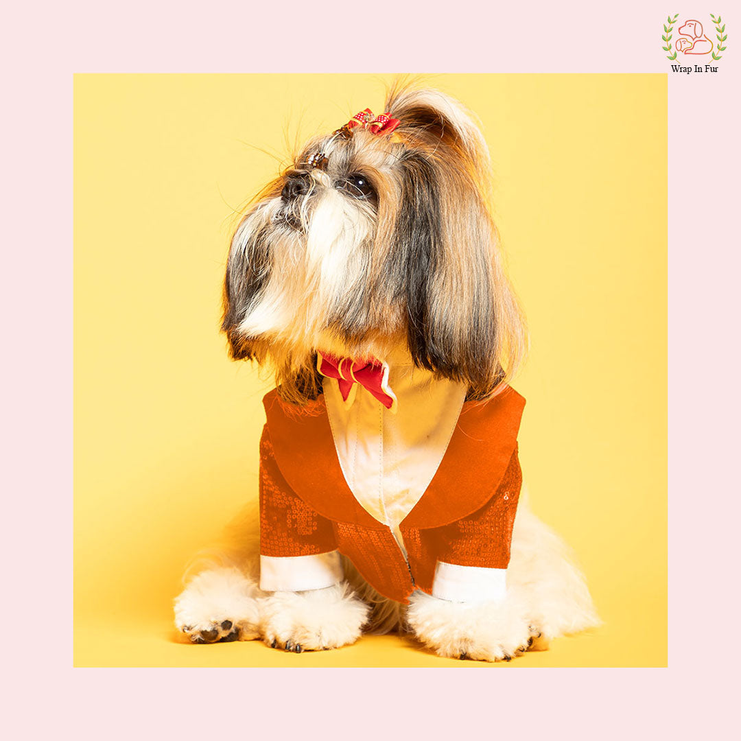 Vibrant Orange Sequin Dog Tuxedo Jacket - Glamorous Formal Suit