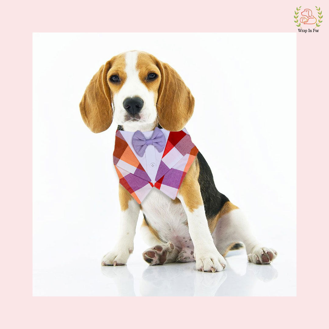 Vibrant Plum Plaid Tuxedo Style Dog Bandana - Wedding Accessory