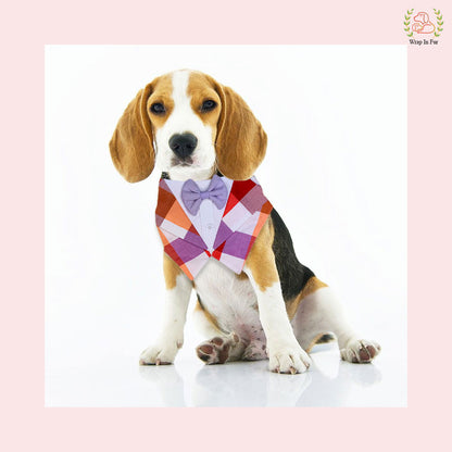 Vibrant Plum Plaid Tuxedo Style Dog Bandana - Wedding Accessory