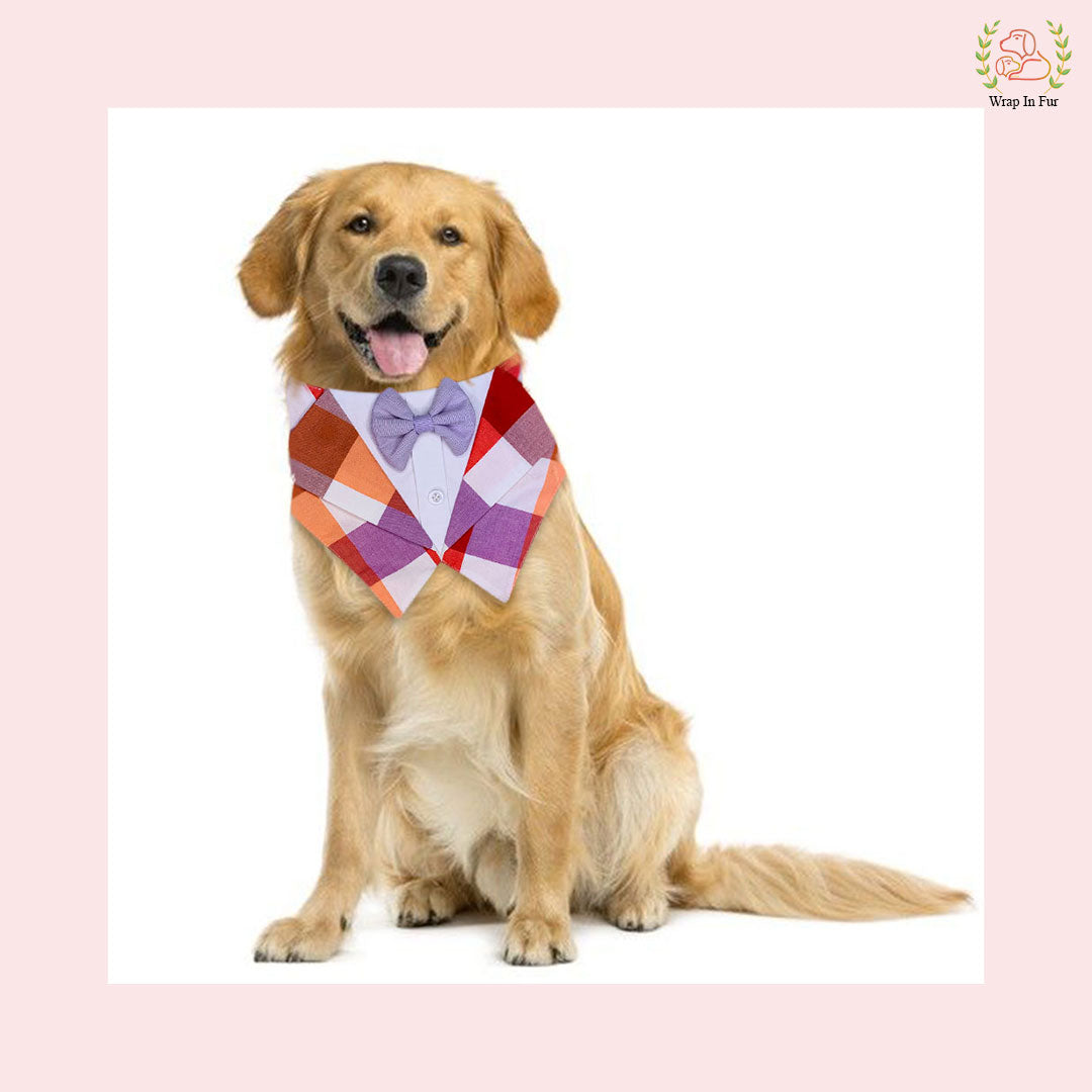 Vibrant Plum Plaid Tuxedo Style Dog Bandana - Wedding Accessory