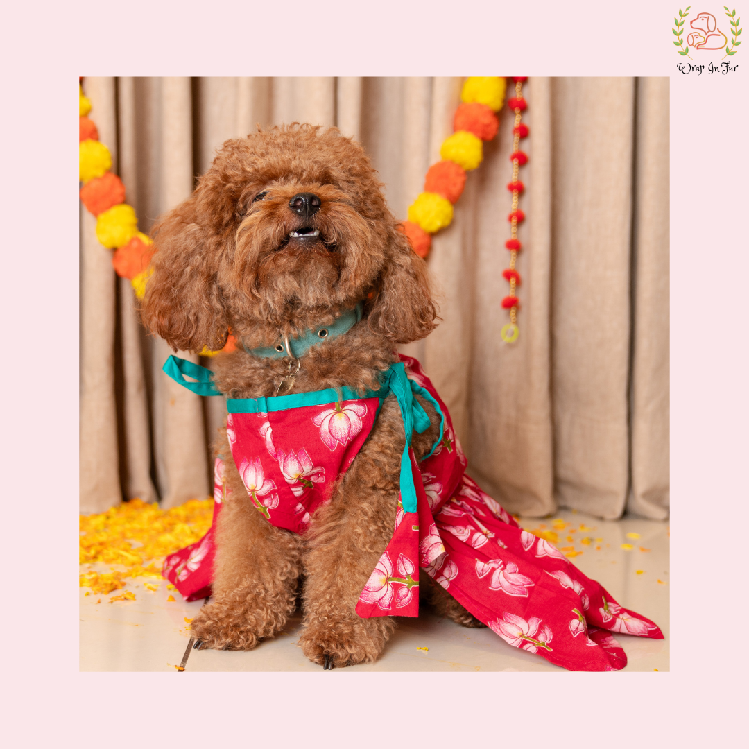 Vibrant Red Lotus Dog Frock Dress - Traditional Dog Wedding Outfit
