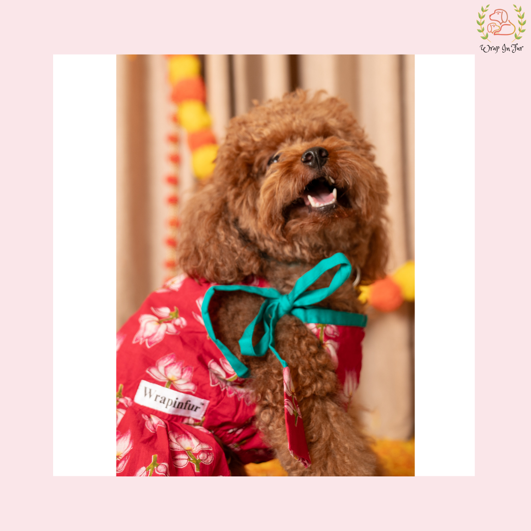 Vibrant Red Lotus Dog Frock Dress - Traditional Dog Wedding Outfit