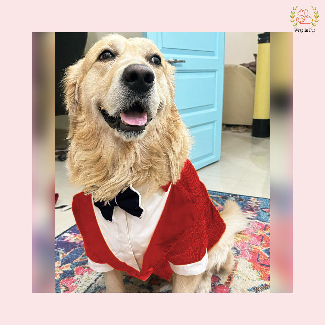 Vibrant Red Sequin Dog Tuxedo Jacket - Festive Formal Suit