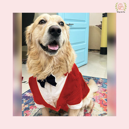 Vibrant Red Sequin Dog Tuxedo Jacket - Festive Formal Suit