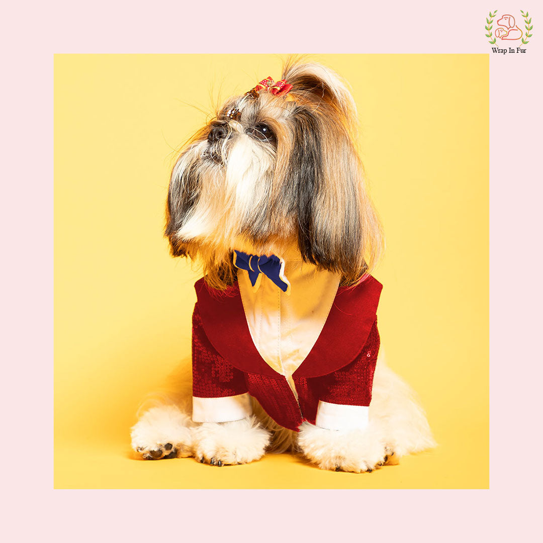 Vibrant Red Sequin Dog Tuxedo Jacket - Festive Formal Suit