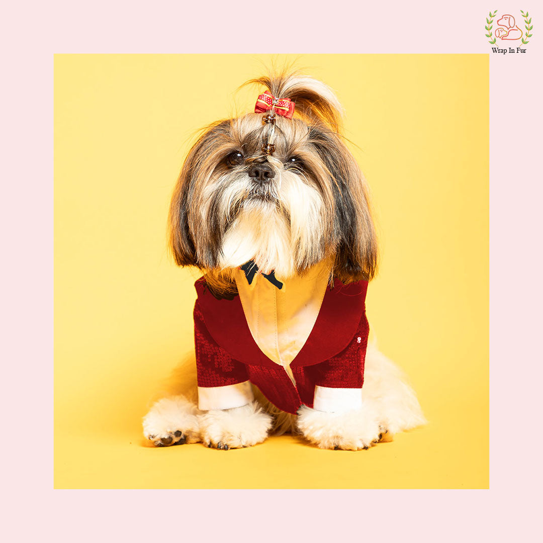 Vibrant Red Sequin Dog Tuxedo Jacket - Festive Formal Suit