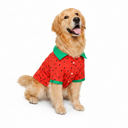 Watermelon Dog Shirt