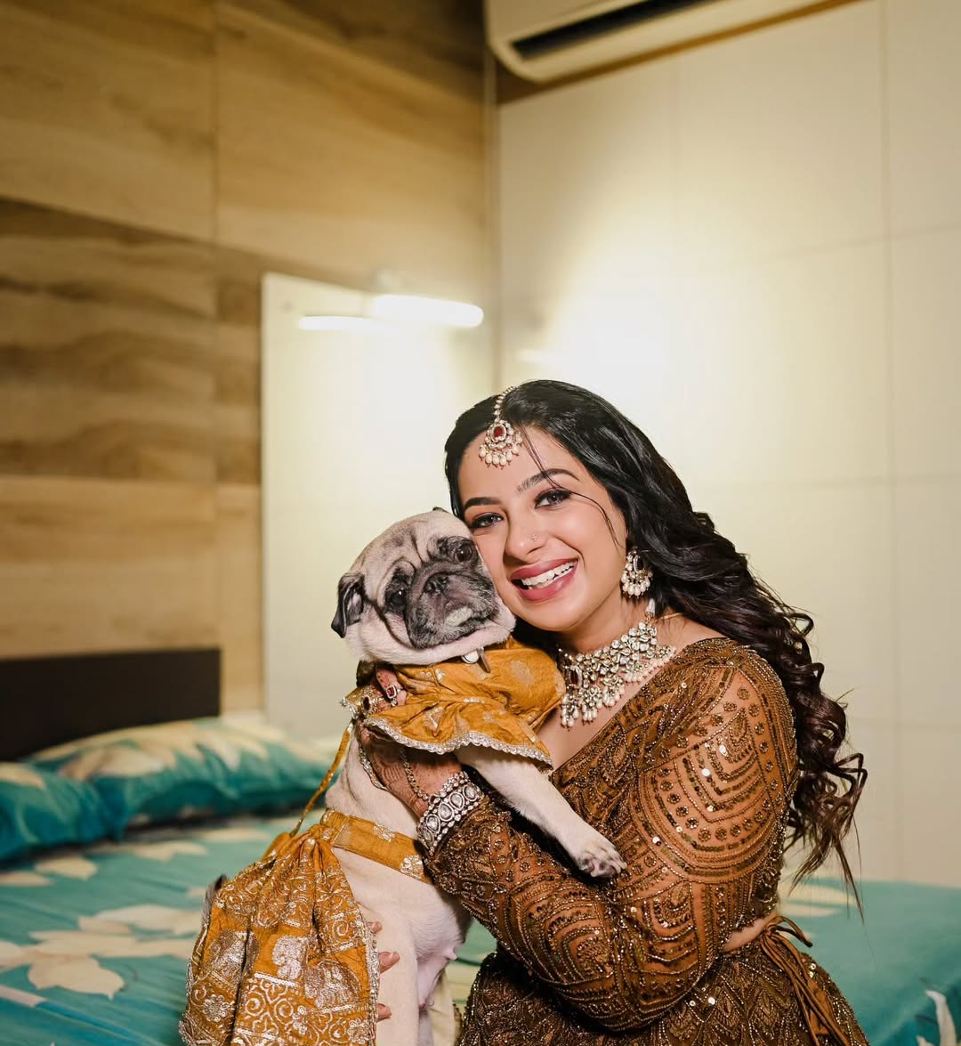 Fern green Lehenga for Dogs
