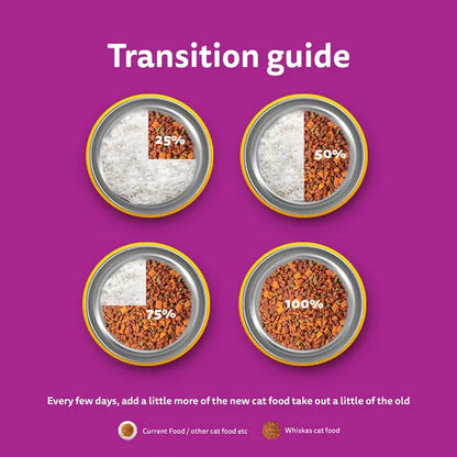 Whiskas Adult Cat Dry Food – Ocean Fish Flavour