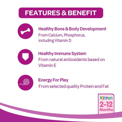 Whiskas Junior Ocean Fish Milky Dry Food for Cats 50g