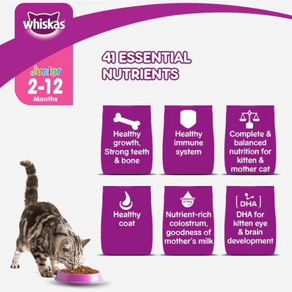 Whiskas Junior Ocean Fish Milky Dry Food for Cats 50g