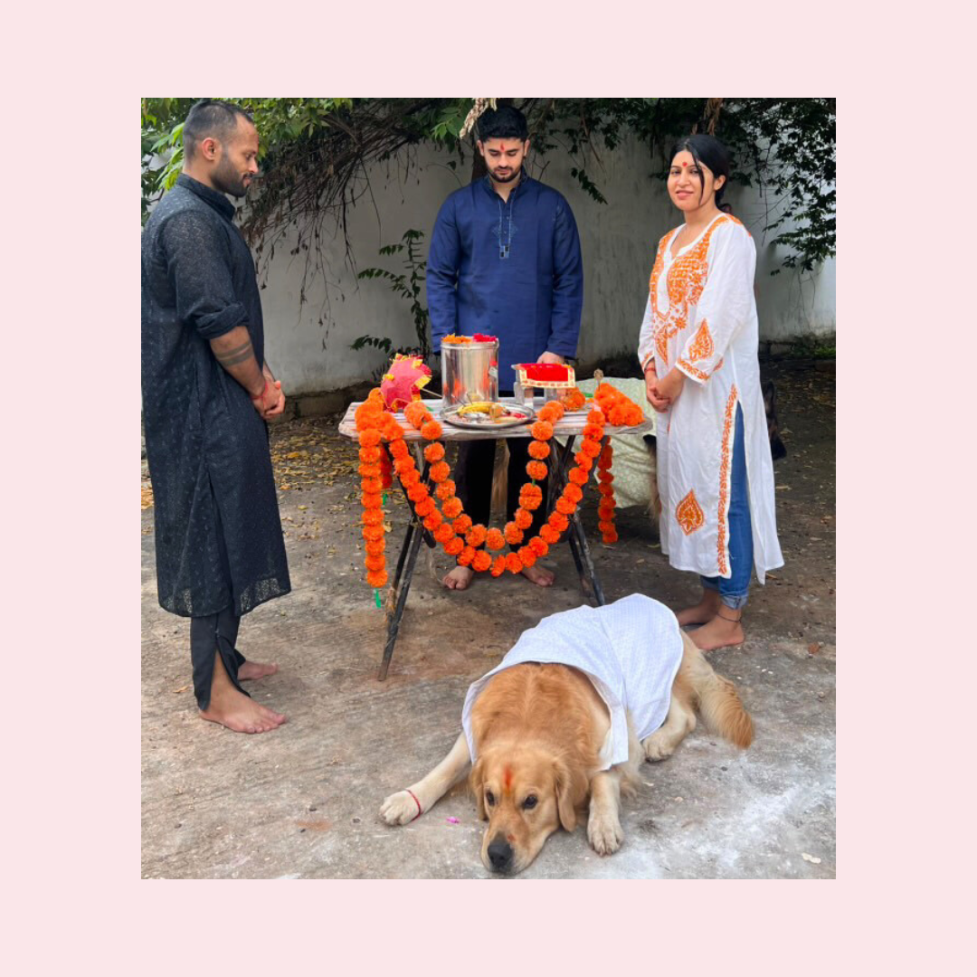 White Nawab Dog Kurta - Premium Royal Indian Dog Ethnic Wear