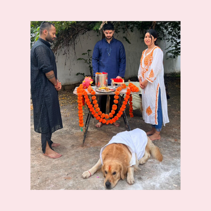 White Nawab Dog Kurta - Premium Royal Indian Dog Ethnic Wear