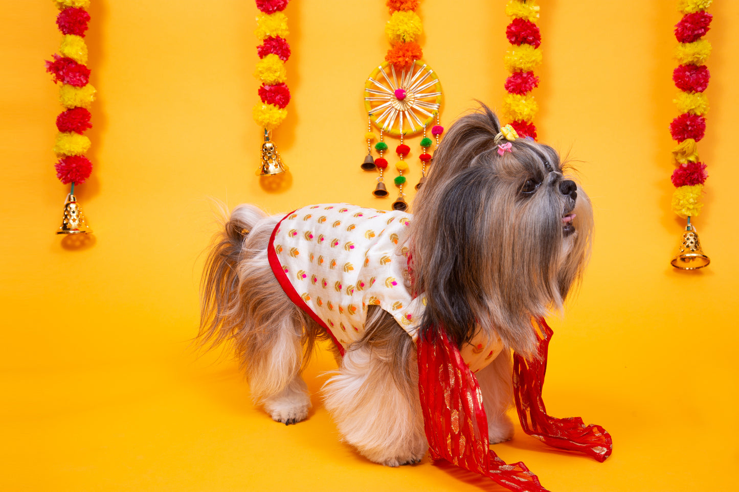 White & Red Royal Dog Kurta - Elegant Indian Dog Ethnic Wear Dress