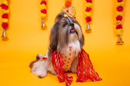 White & Red Royal Dog Kurta - Elegant Indian Dog Ethnic Wear Dress