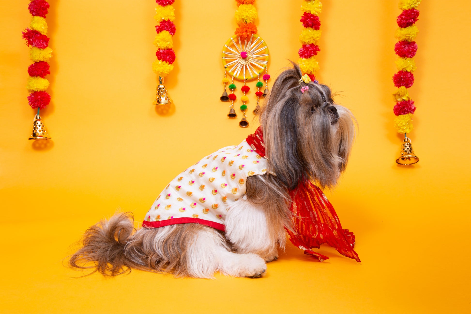 White & Red Royal Dog Kurta - Elegant Indian Dog Ethnic Wear Dress