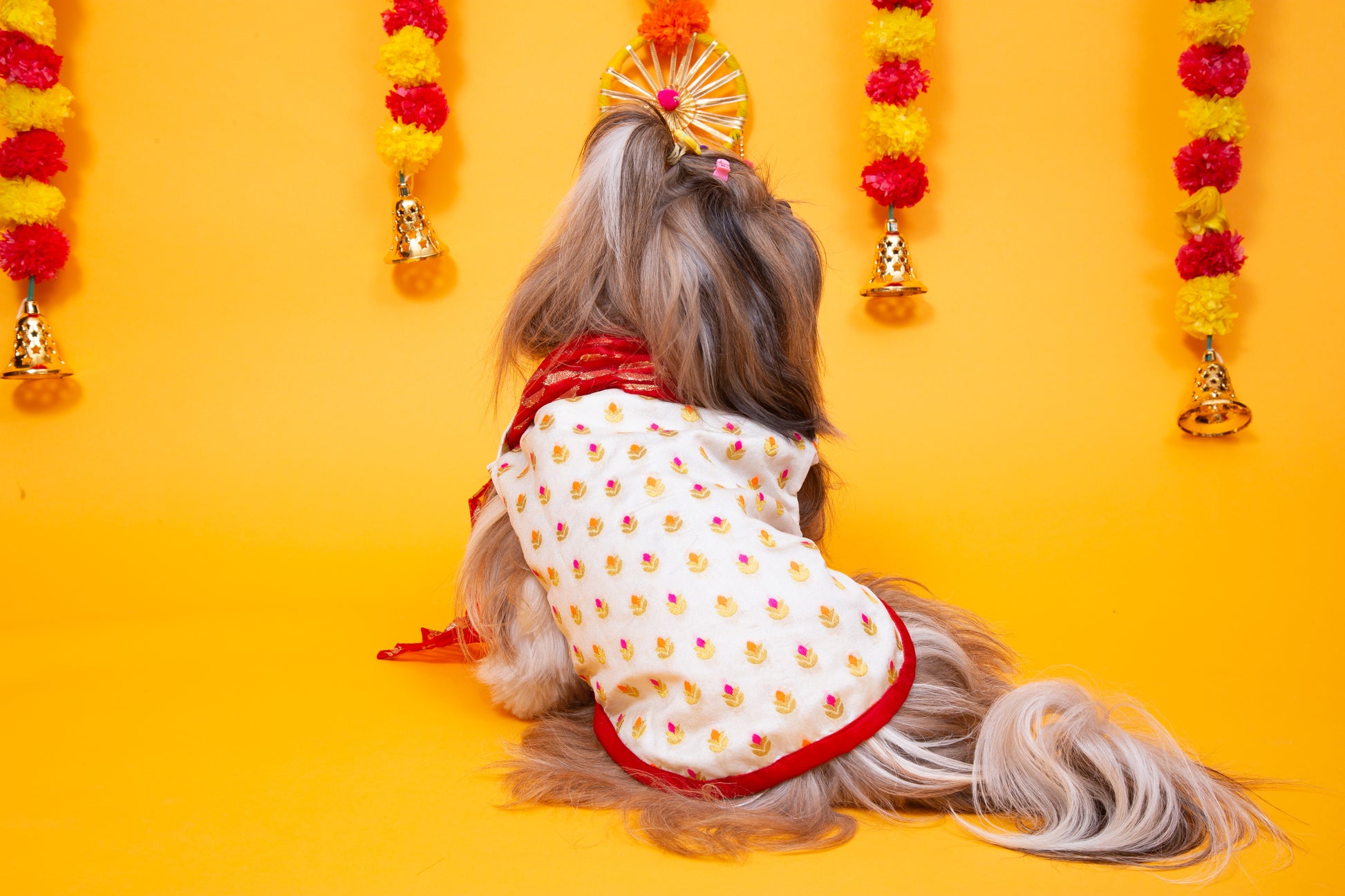 White & Red Royal Dog Kurta - Elegant Indian Dog Ethnic Wear Dress