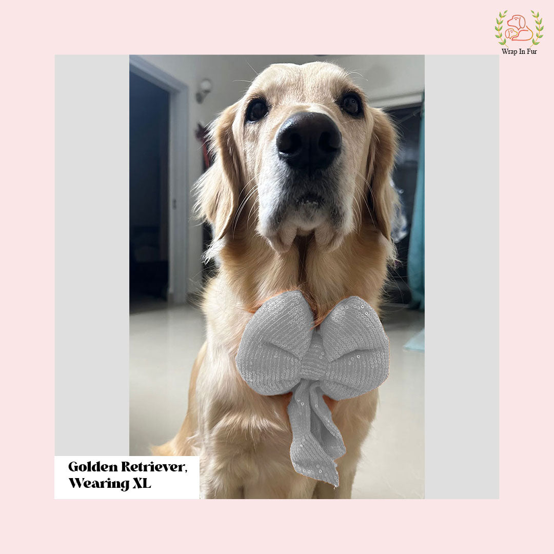 White Sequin Dog Bow - Shimmering Silver Holiday Pet Hair Bow Accessory