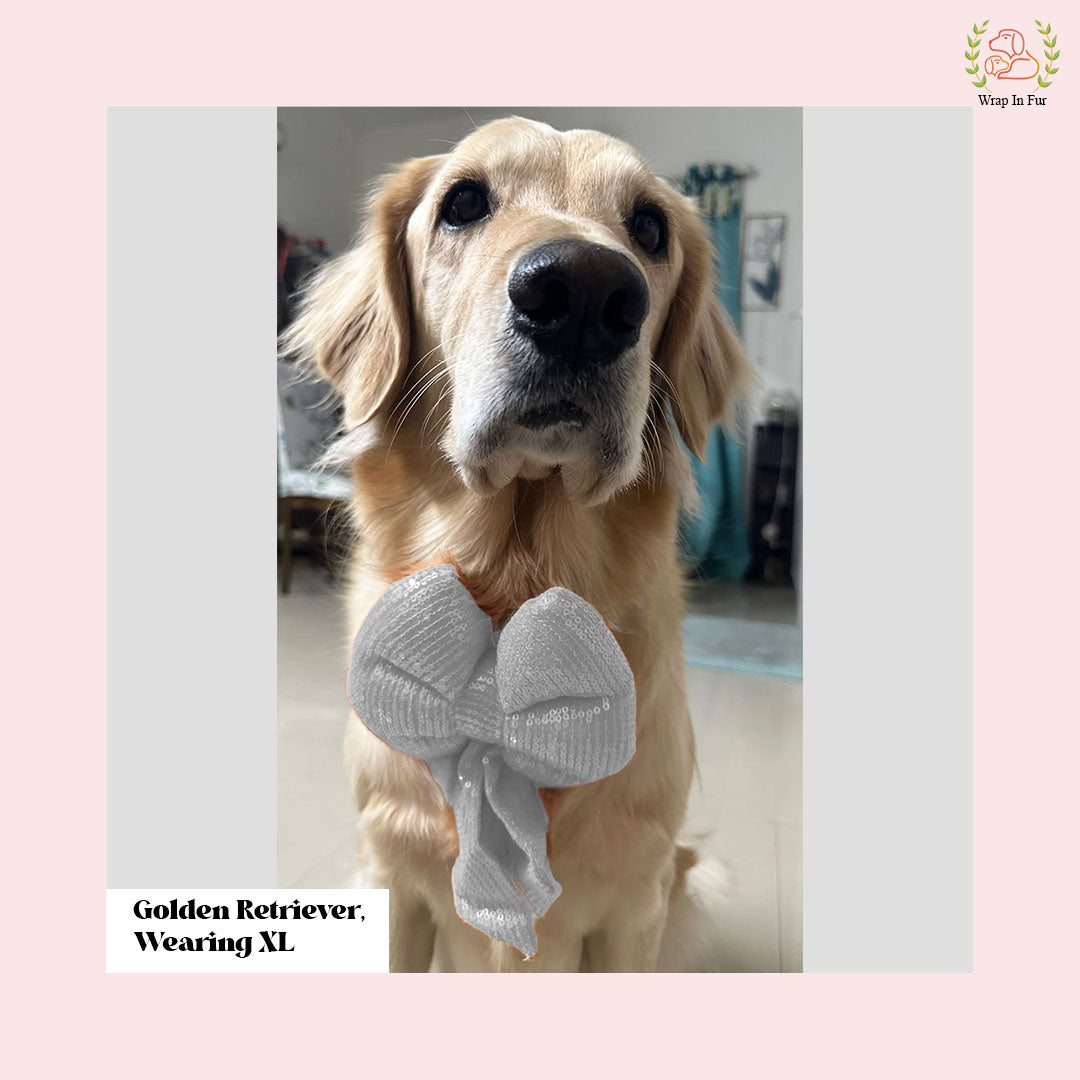 White Sequin Dog Bow - Shimmering Silver Holiday Pet Hair Bow Accessory