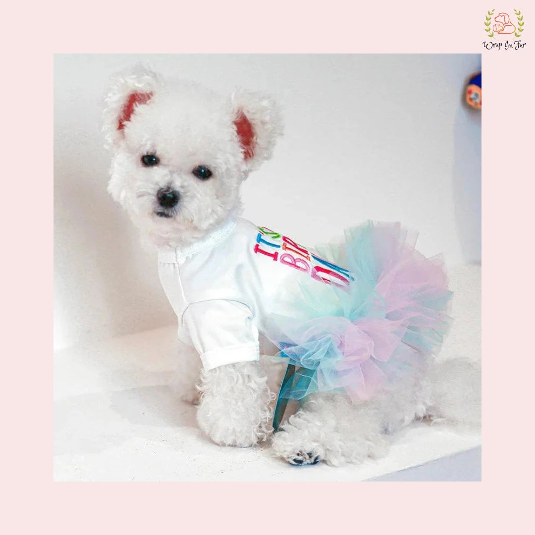 White T-Shirt Dog Princess Dress - Pastel Tutu Frock