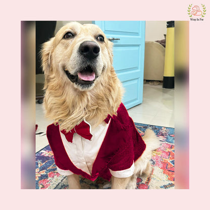 Wine Sequin Dog Tuxedo Jacket - Premium Wedding Formal Suit