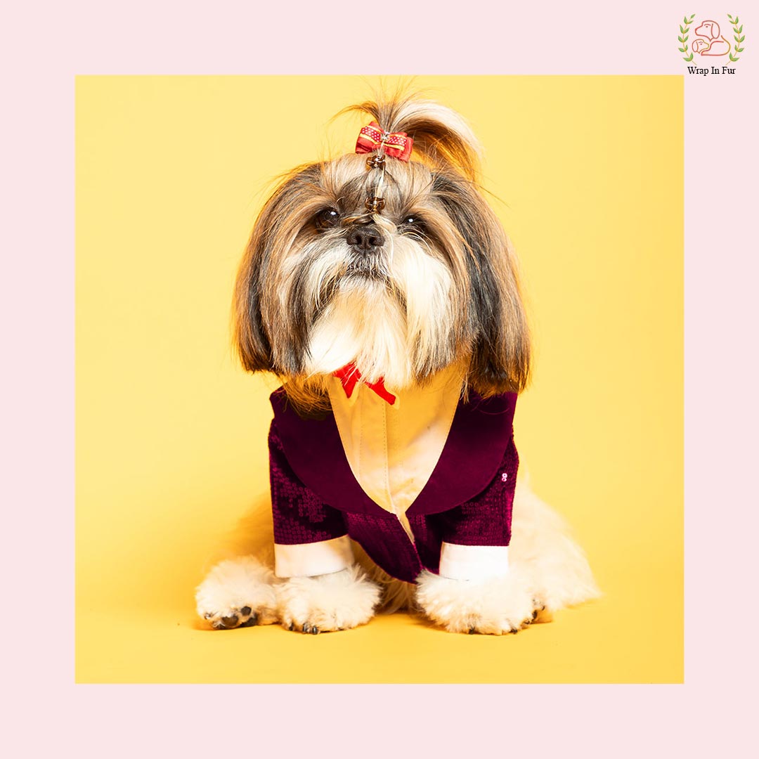 Wine Sequin Dog Tuxedo Jacket - Premium Wedding Formal Suit