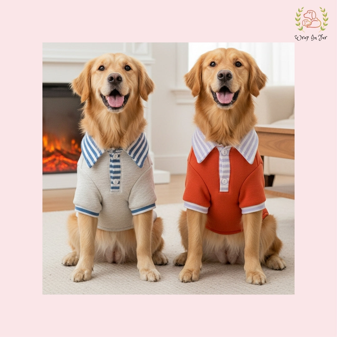 Winter Dog Polo Sweater – Ultra Soft, Breathable & Warm Outfit for All Breeds