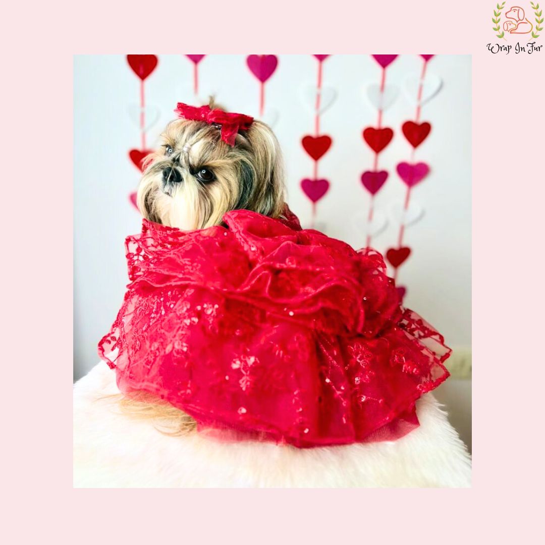 Red Princess Dress