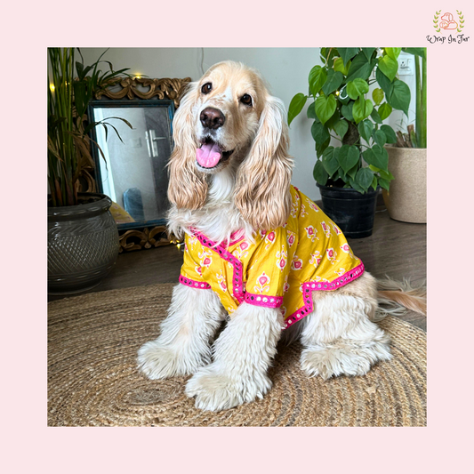 Yellow Pink Angarkha Kurta