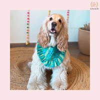 Blue Golden Festive Dog Bandana