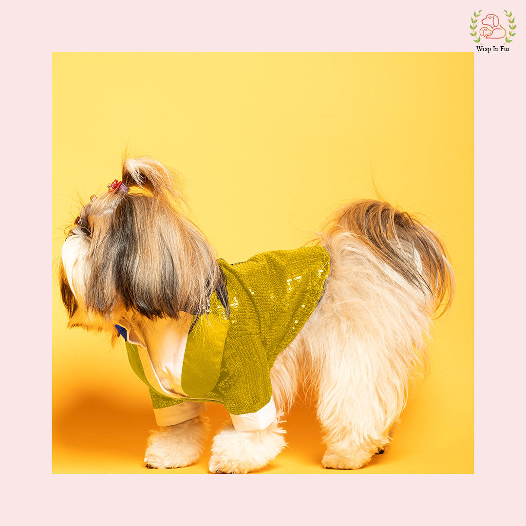 yellow tuxedos for dogs