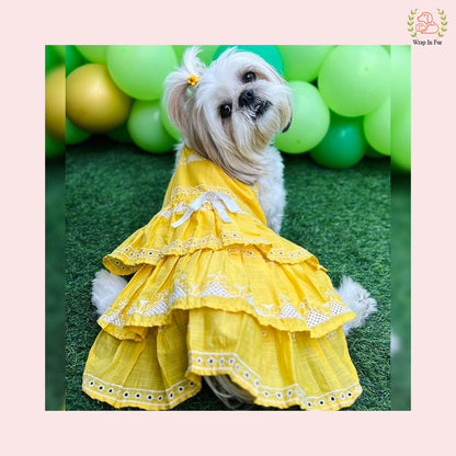 Yellow Embroidery dog Frock for birthday