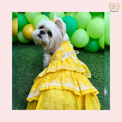 Yellow Embroidery dog Frock for haldi