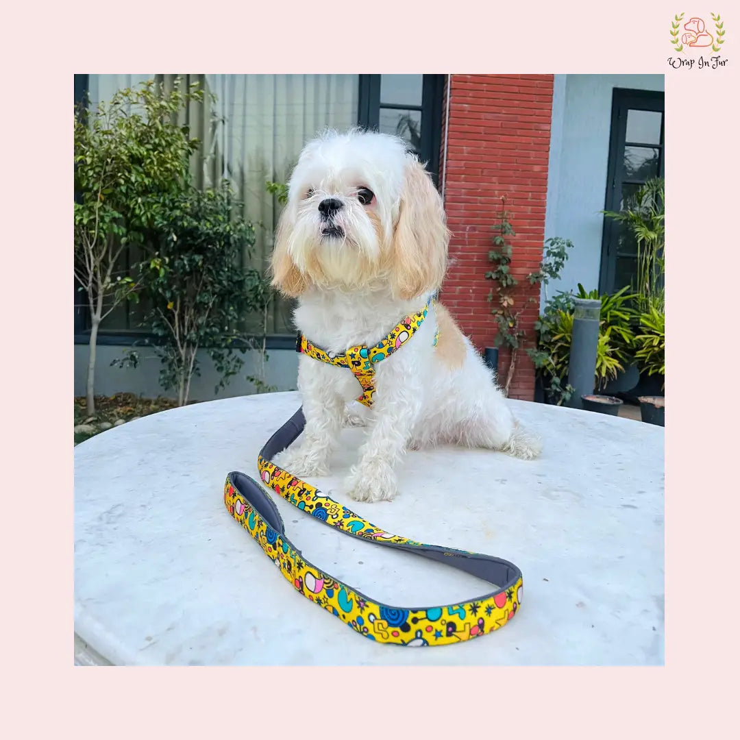 Yellow Fab Dog Harness With Leash for large dog