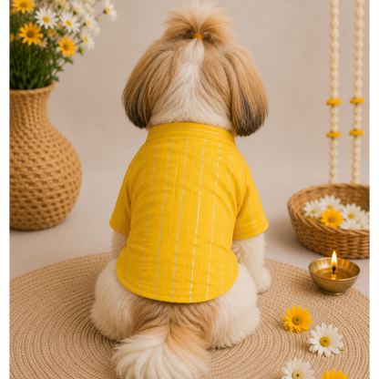 Dog Kurta