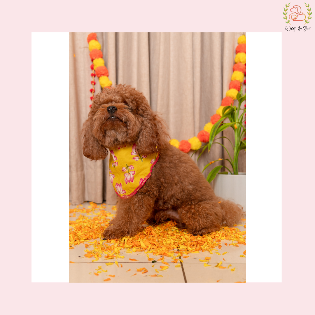 Yellow Lotus Desi Dog Bandana