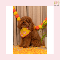 Yellow Lotus Desi Dog Bandana