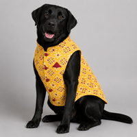 Yellow Patola Dog Sherwani